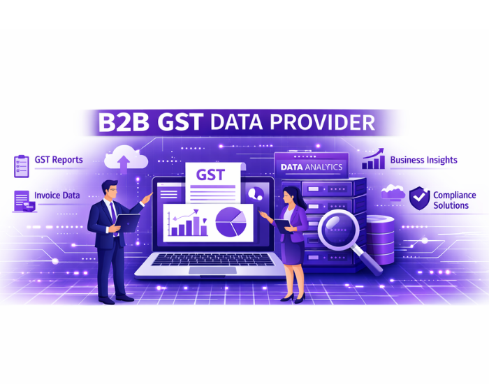 B2B GST Data Provider