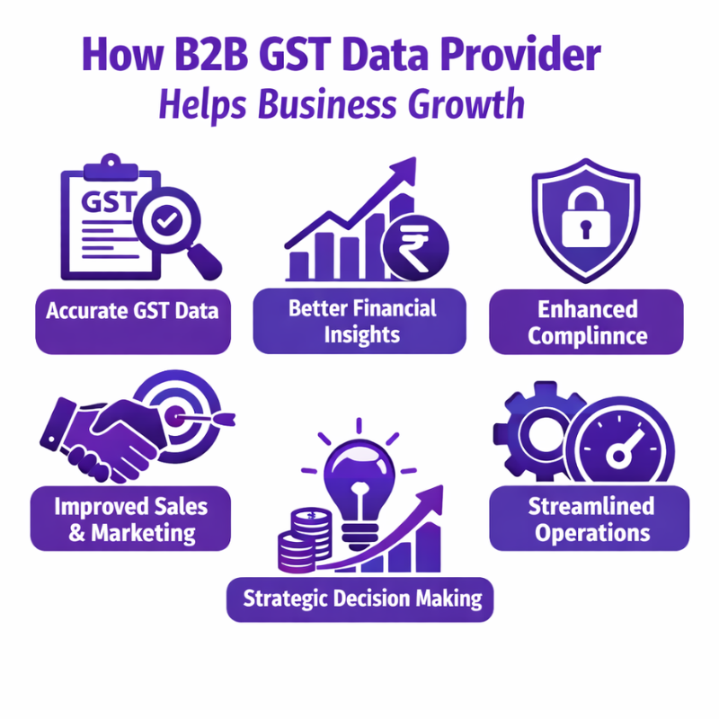 B2B GST Data Provider