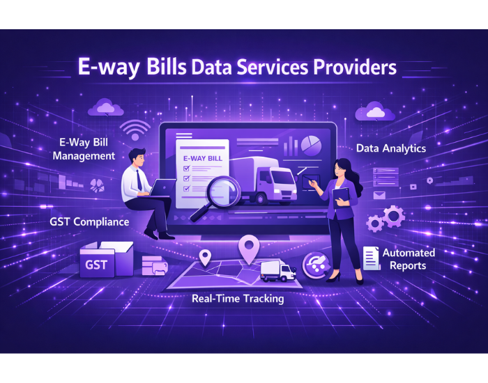 E-way Bills Data Services Providers
