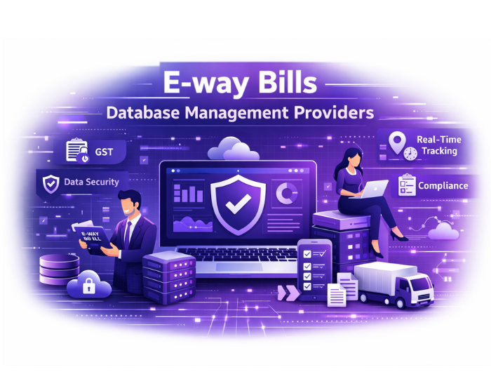 E-way Bills Database Management Providers