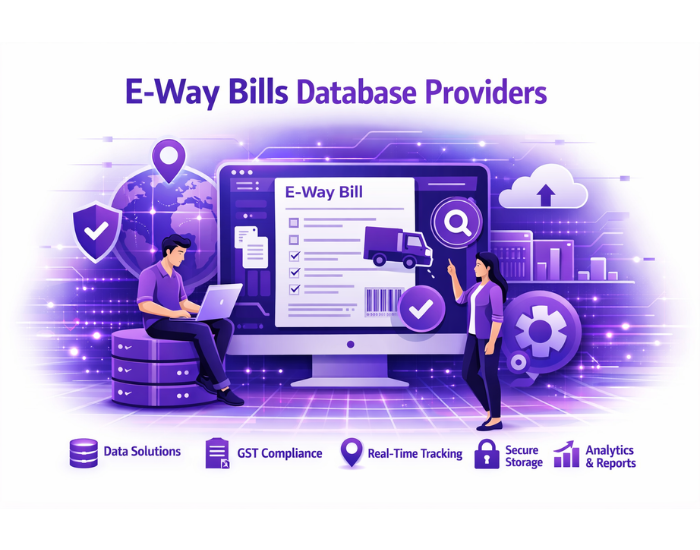 E-way Bills Database Providers
