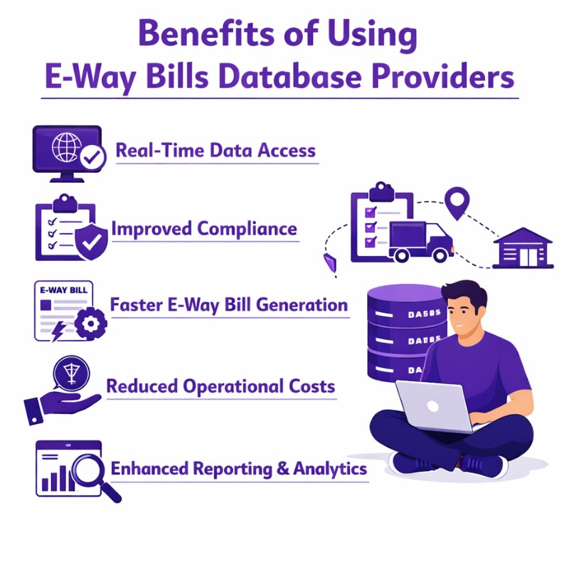 E-way Bills Database Providers