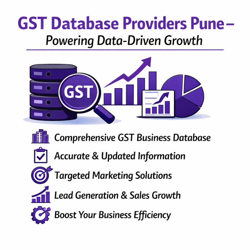 Gst Database Providers Pune